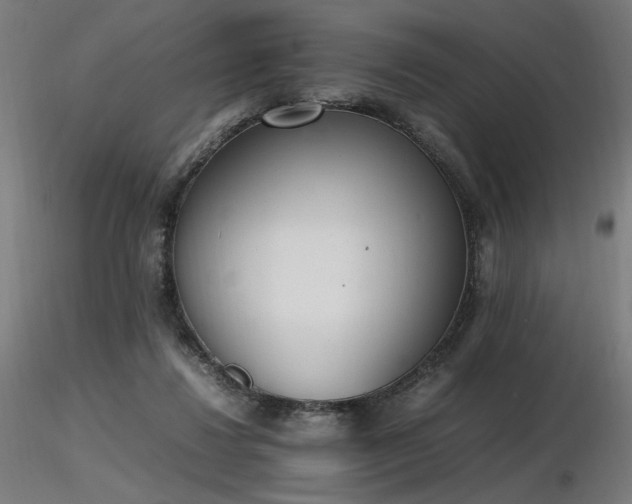X0000116840260200912181504