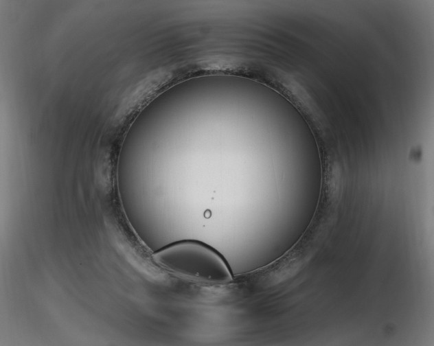 X0000116840261200912181504