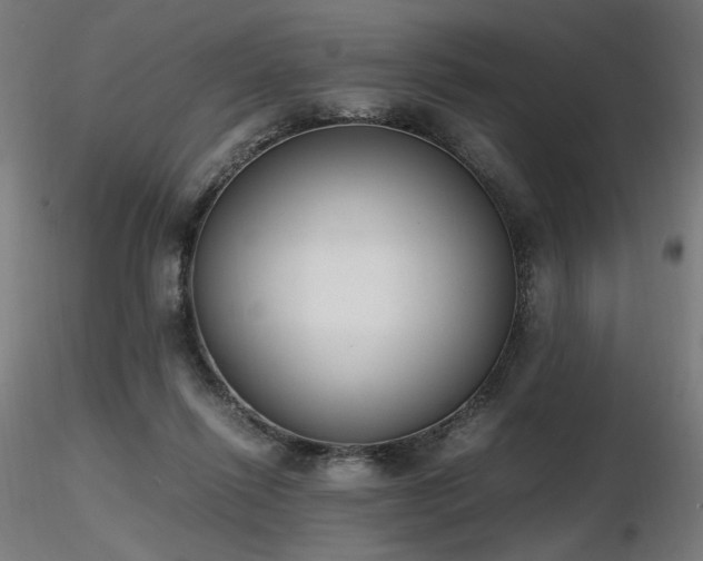 X0000116840262200912181504