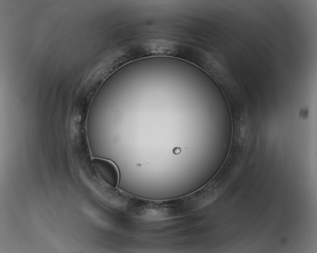 X0000116840263200912181504