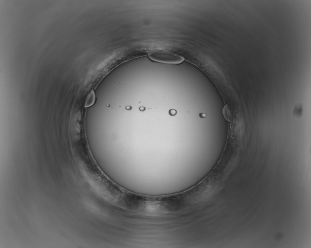 X0000116840264200912181505