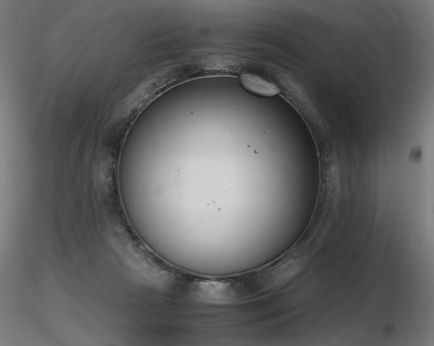 X0000116840265200912181505