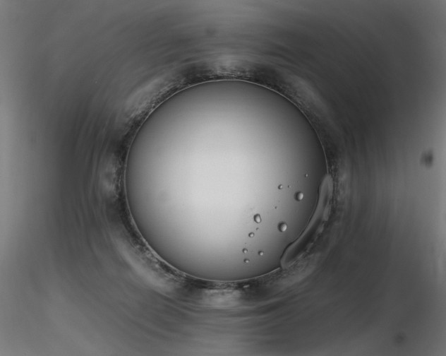 X0000116840266200912181505