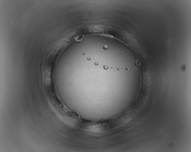 X0000116840267200912181505