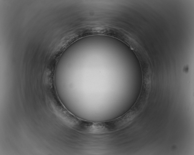 X0000116840270200912181505