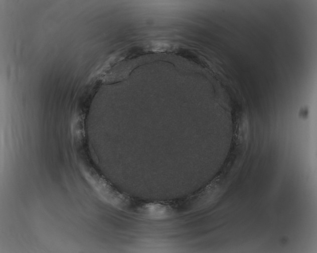 X0000116840272200912181505