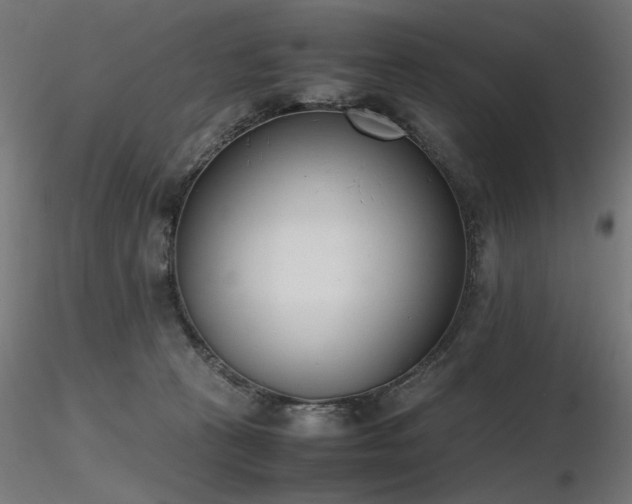 X0000116840273200912181505