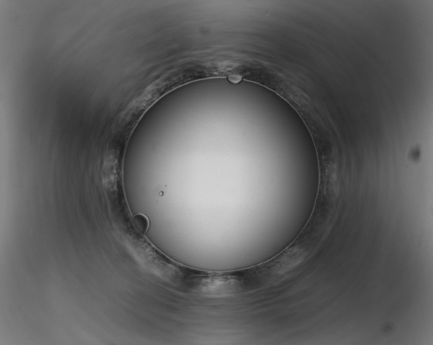 X0000116840274200912181505