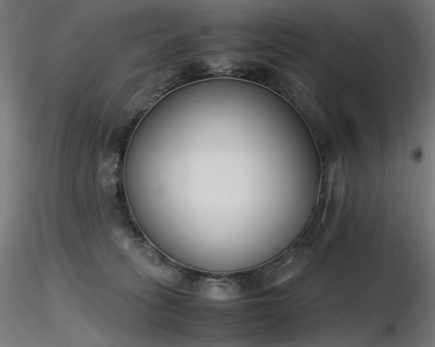 X0000116840275200912181505