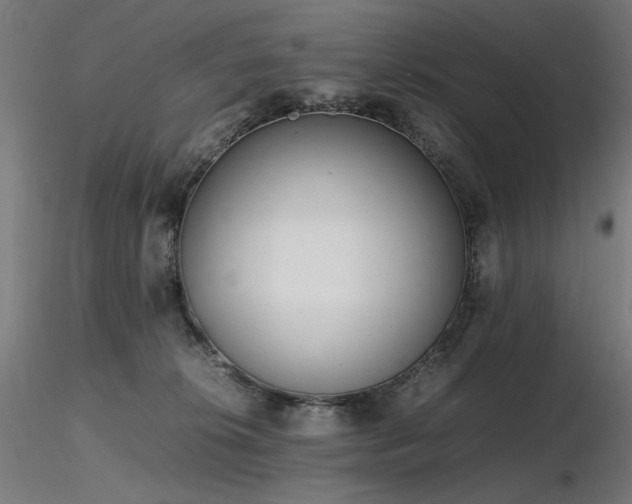 X0000116840276200912181505