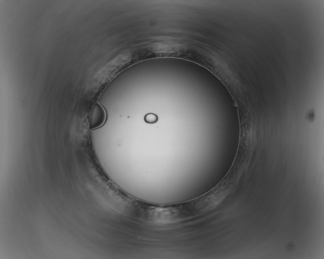 X0000116840277200912181505