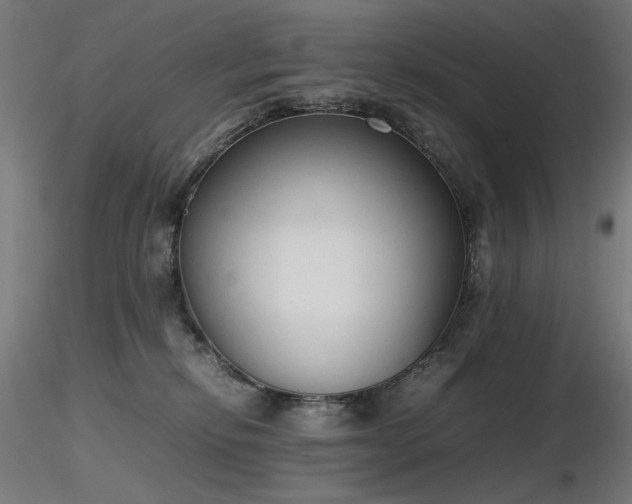X0000116840278200912181505