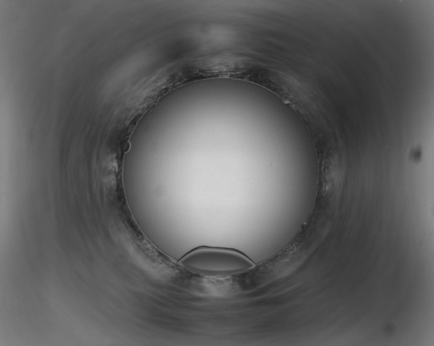 X0000116840279200912181505