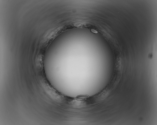 X0000116840280200912181505