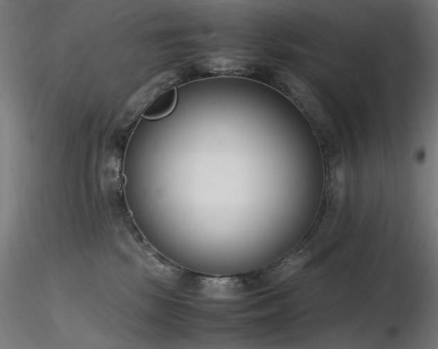 X0000116840281200912181505