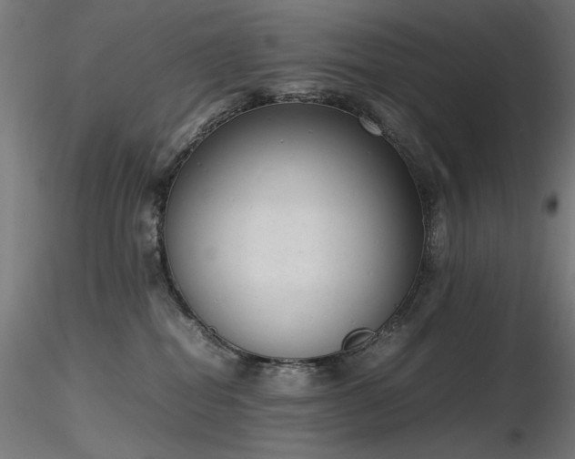 X0000116840282200912181505