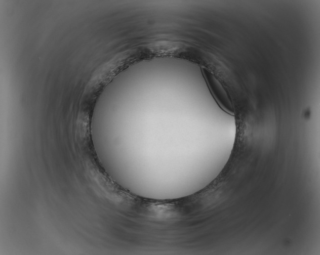 X0000116840283200912181505