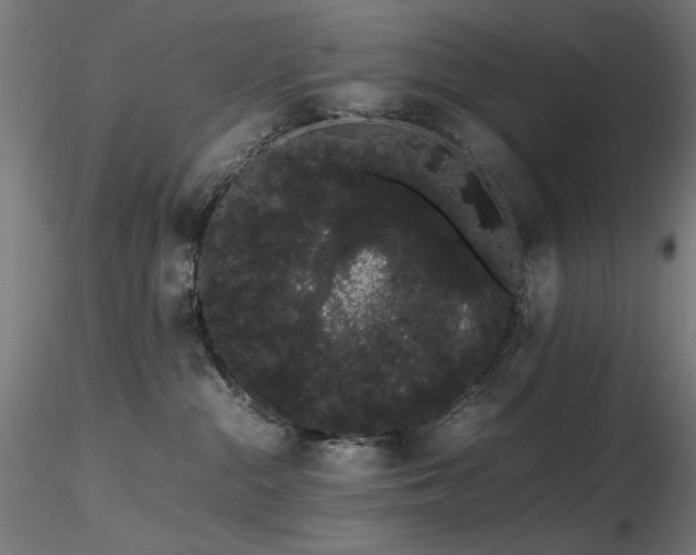 X0000116840284200912181505