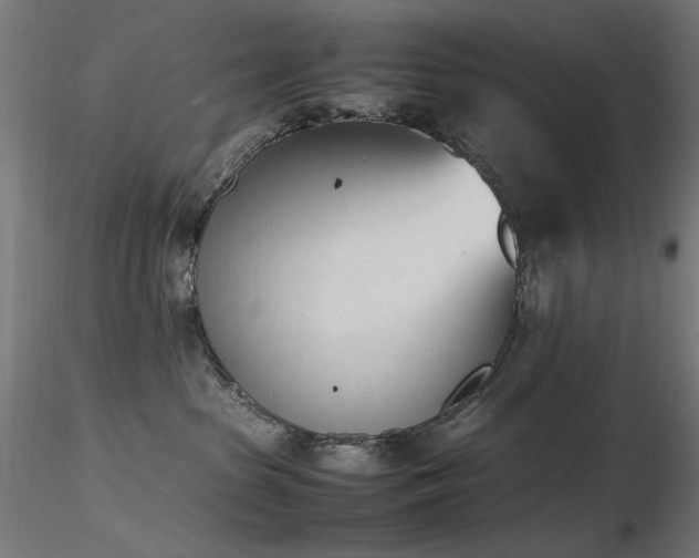 X0000116840285200912181505
