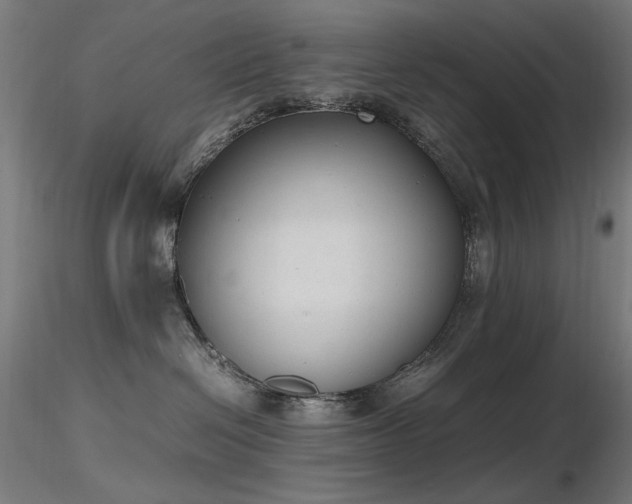 X0000116840286200912181505