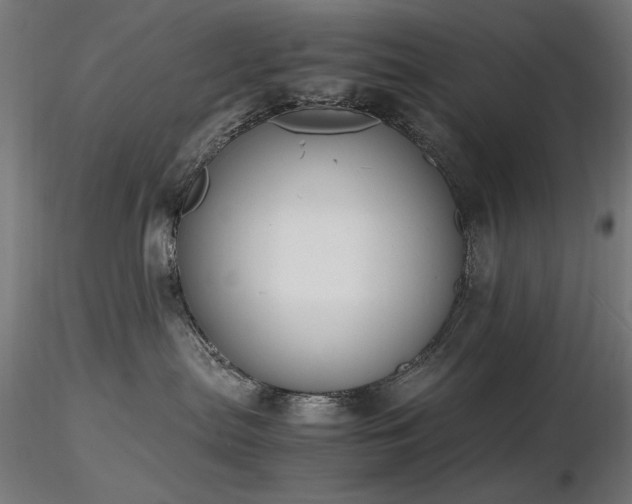 X0000116840287200912181505