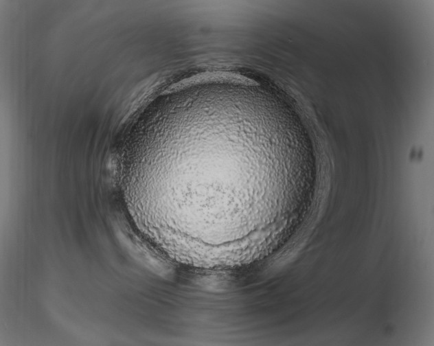 X0000116840288200912181505