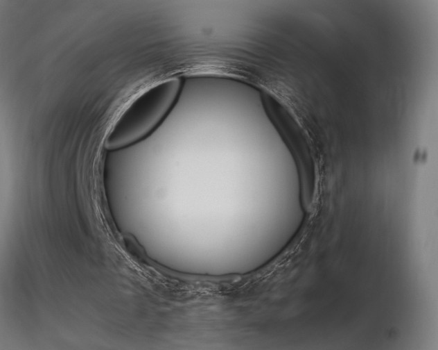 X0000116840289200912181504