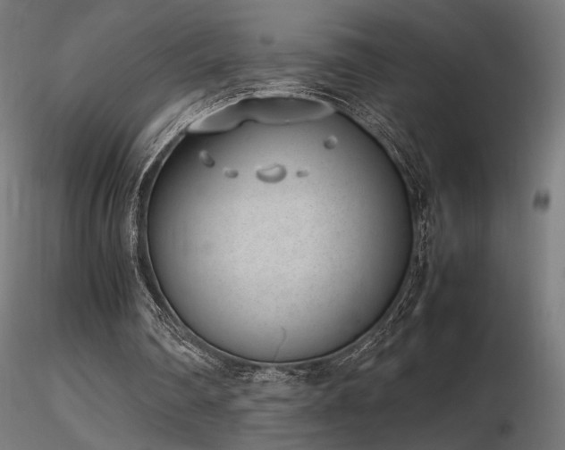 X0000116840290200912181504