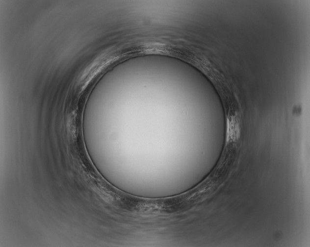 X0000116840291200912181504