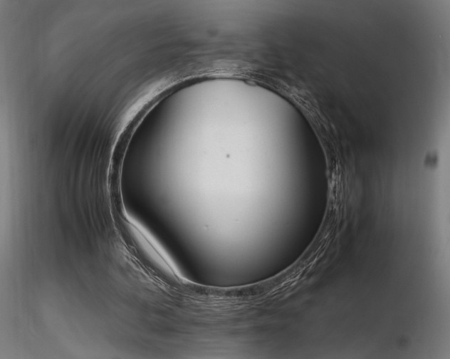 X0000116840292200912181504