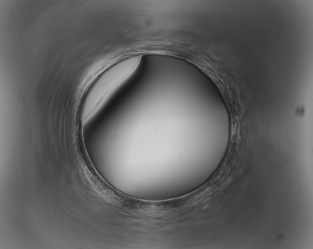 X0000116840293200912181504
