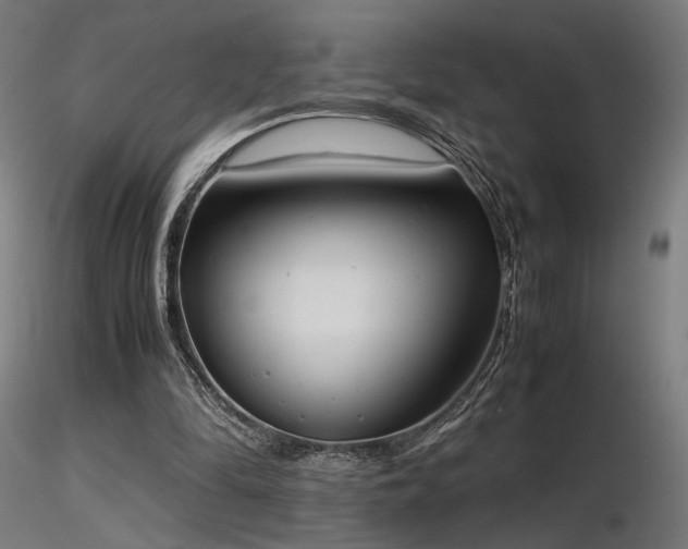X0000116840294200912181504