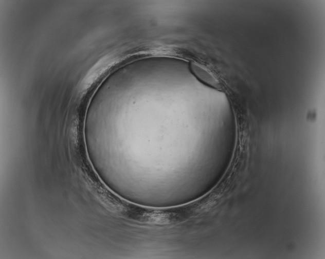 X0000116840295200912181504