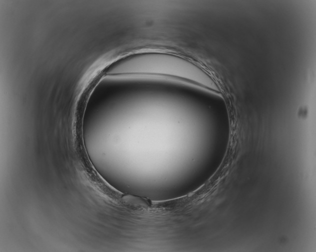 X0000116840296200912181504