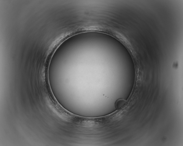 X0000116840298200912181504