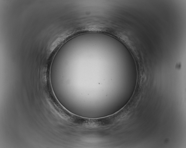 X0000116840299200912181504