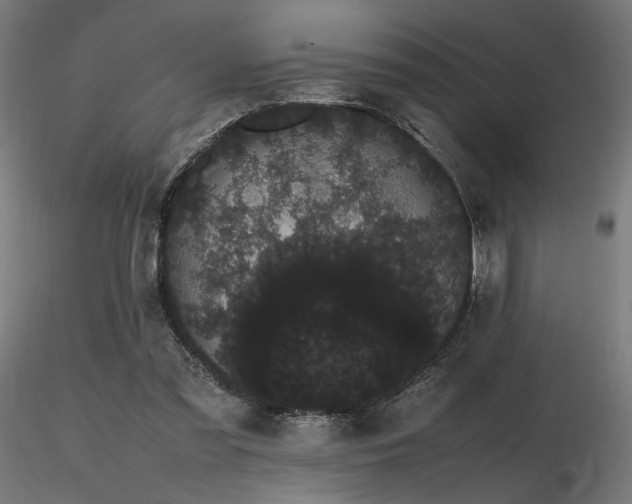 X0000116840301200912181504