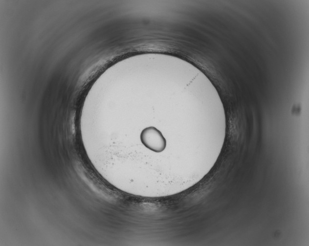 X0000116840302200912181504