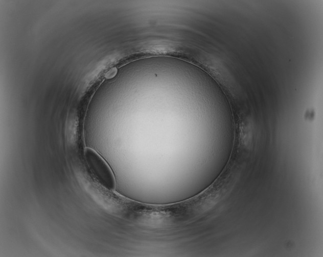 X0000116840304200912181504
