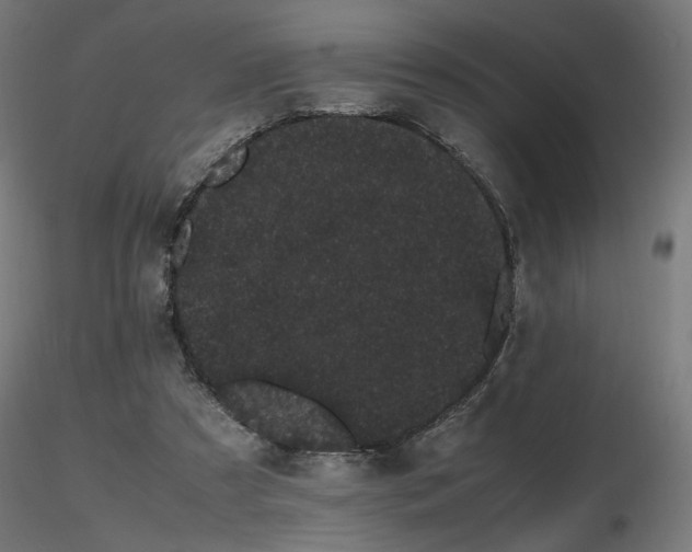 X0000116840305200912181504