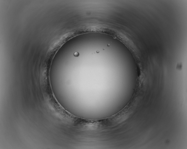 X0000116840306200912181504
