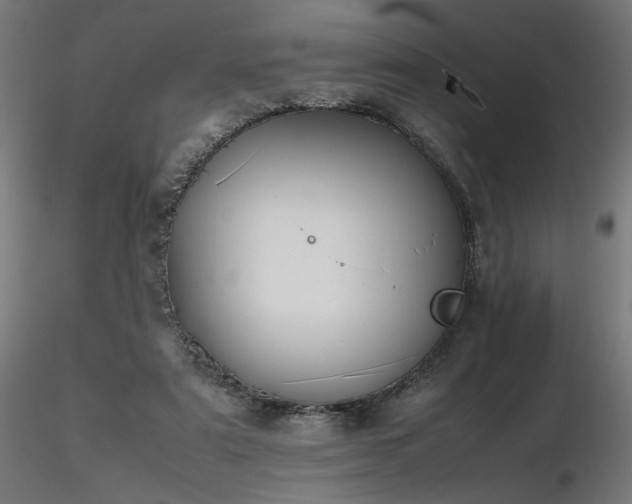 X0000116840307200912181504