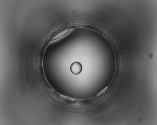 X0000116840308200912181504
