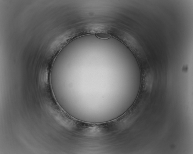 X0000116840310200912181504