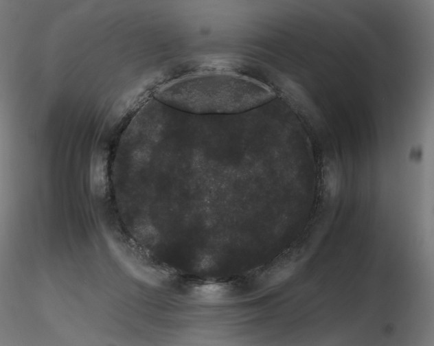 X0000116840312200912181504