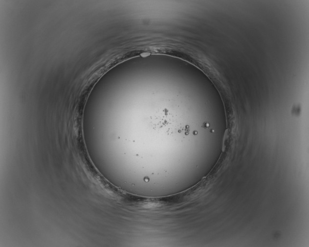 X0000116840313200912181503