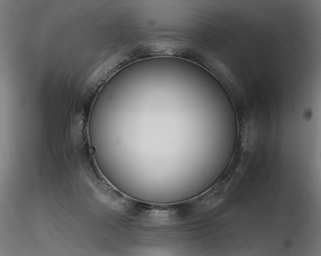 X0000116840314200912181503