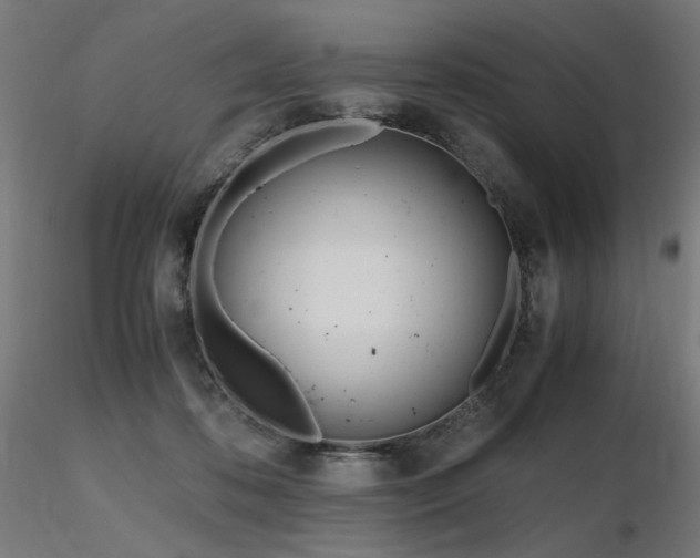 X0000116840316200912181503