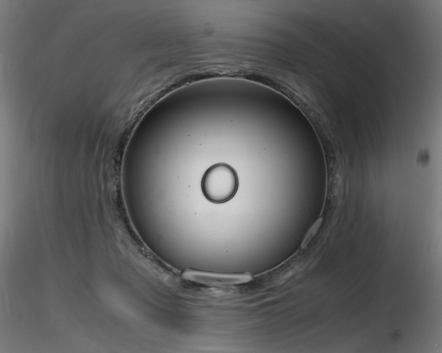 X0000116840317200912181503