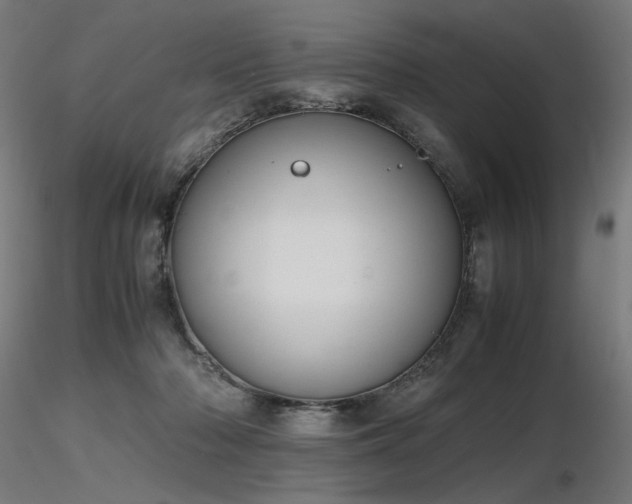 X0000116840318200912181503